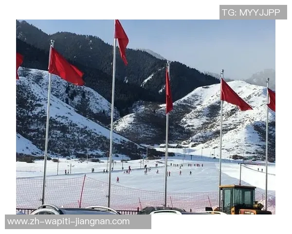 滑雪：奔驰雪野，与风共舞的热血酷爱